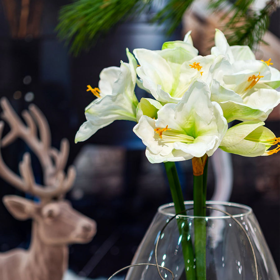 Fehér színű, amarillisz művirág.