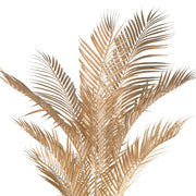 Fémes arany levelek részletgazdag kidolgozása az arany Areca pálmán.