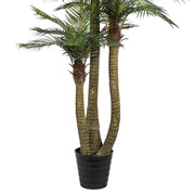 Három törzsű, 250 cm magas mű areca pálma fekete műanyag cserépben