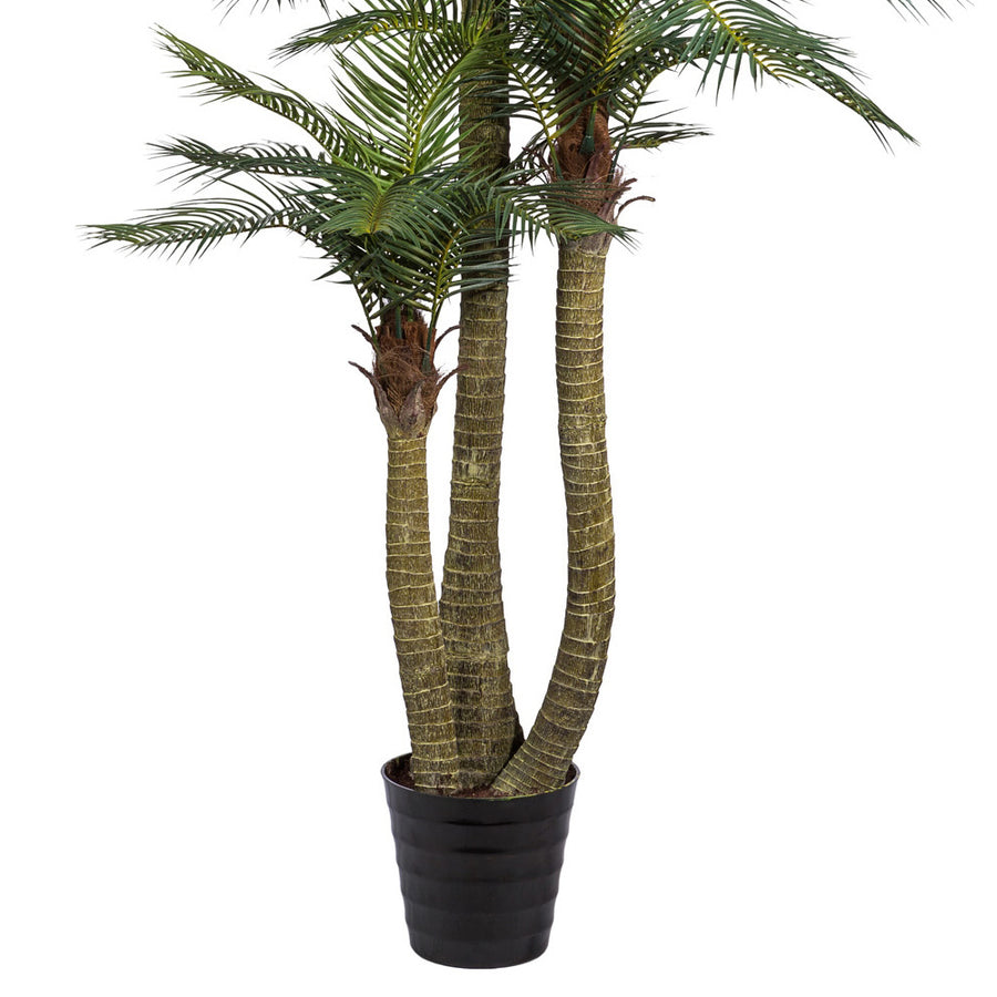 Három törzsű, 250 cm magas mű areca pálma fekete műanyag cserépben