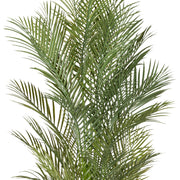 160 cm magas mű aranypálma zöld leveleinek részletfotója