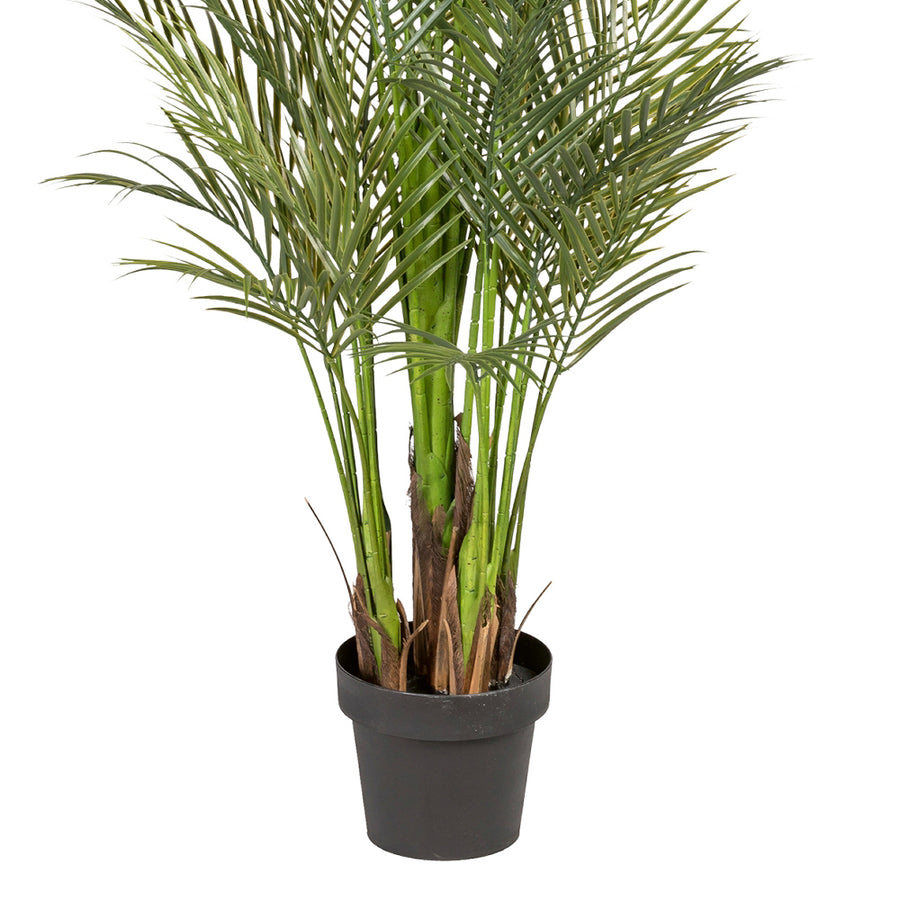 Mű aranypálma 160 cm, több törzzsel és fekete kaspóval