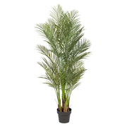 Élethű 160 cm magas mű aranypálma fekete műanyag kaspóban – teljes növény