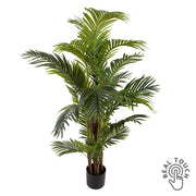 ARECA 170 cm magas mű aranypálma Real Touch, fekete kaspóban, fehér háttéren