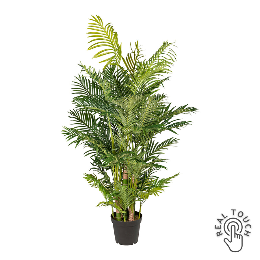  Élethű ARECA zöld mű aranypálma 170 cm, Real Touch felülettel fekete kaspóban