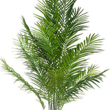 ARECA mű aranypálma zöld levelei közelről