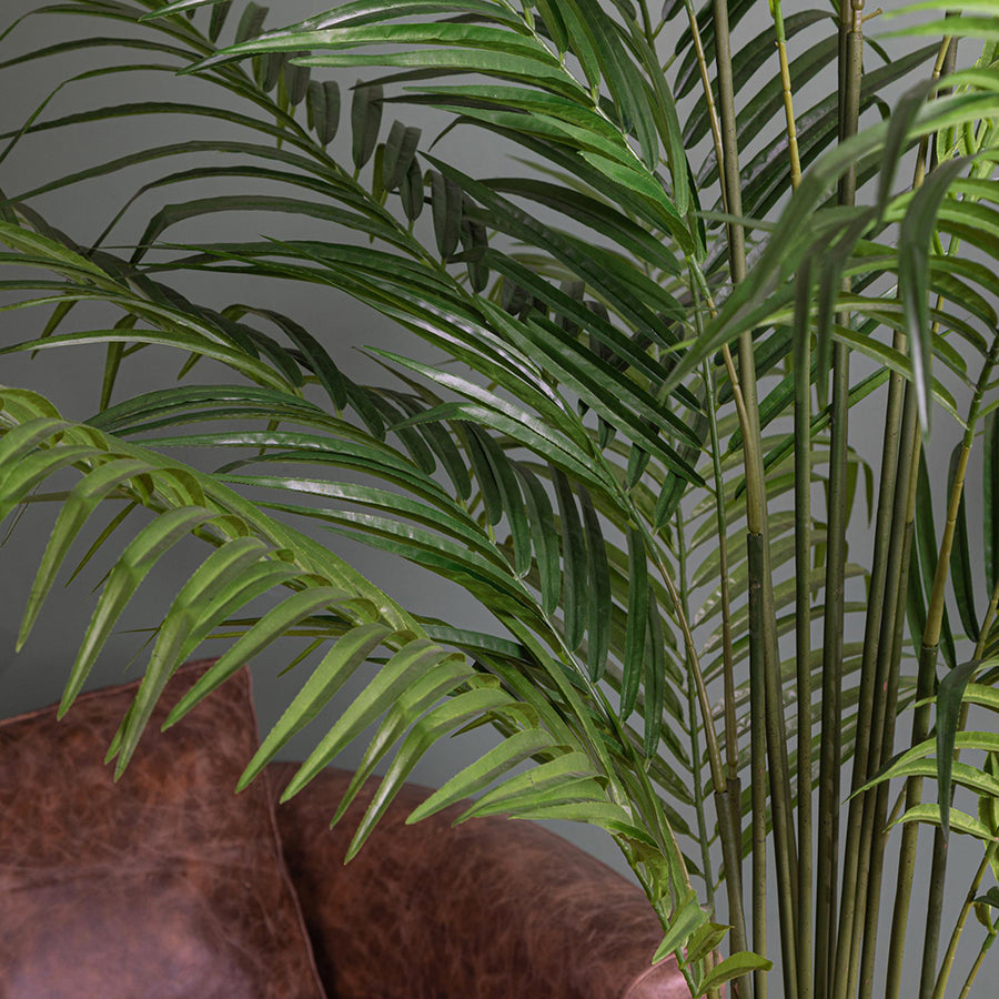 ARECA mű aranypálma levelei és törzse nappali környezetben