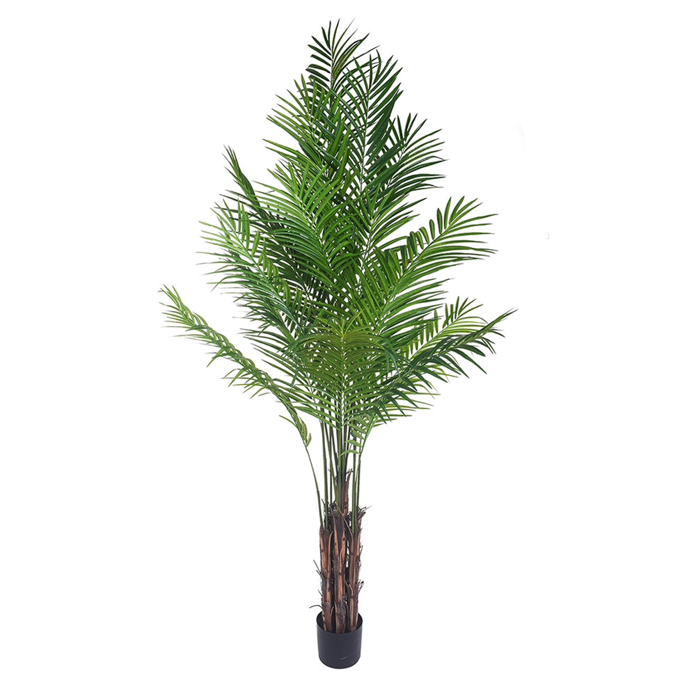 Élethű 210 cm magas ARECA mű aranypálma fekete kaspóban, teljes növény
