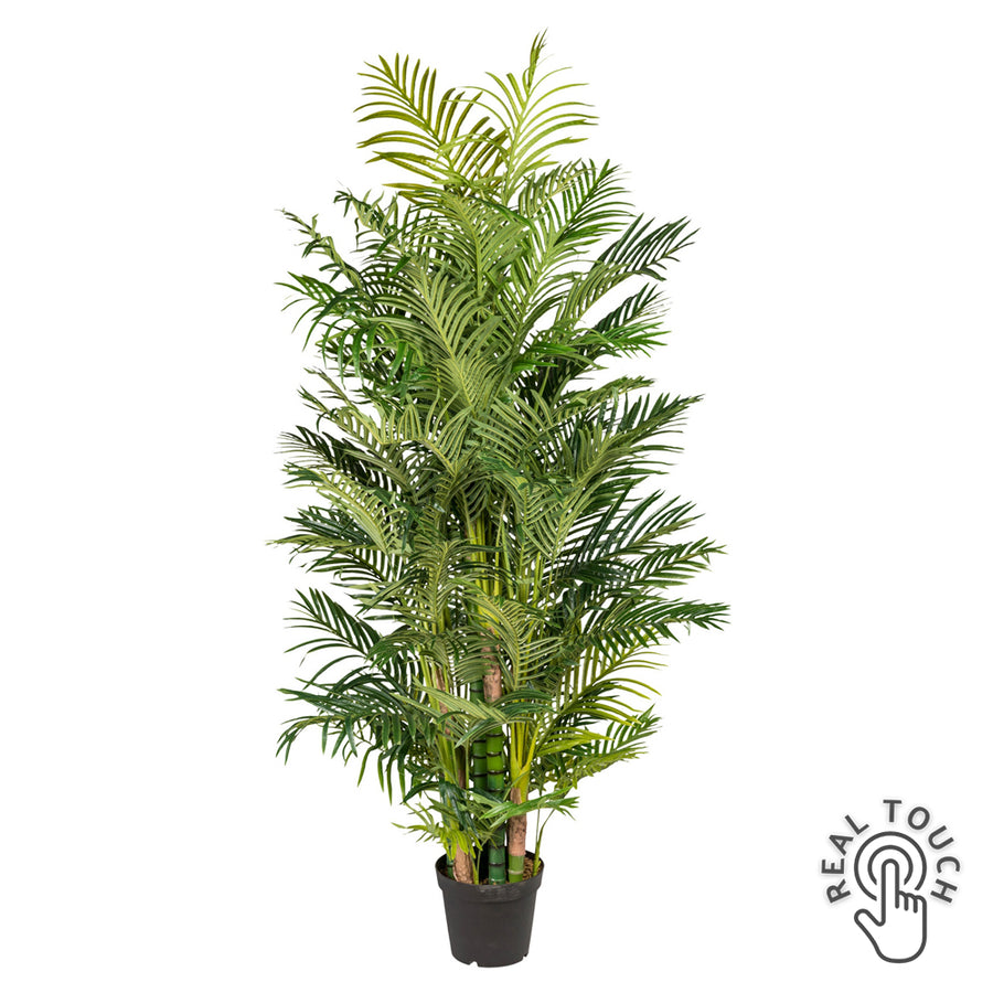 220 cm magas mű aranypálma fekete műanyag kaspóban, Real Touch levelekkel