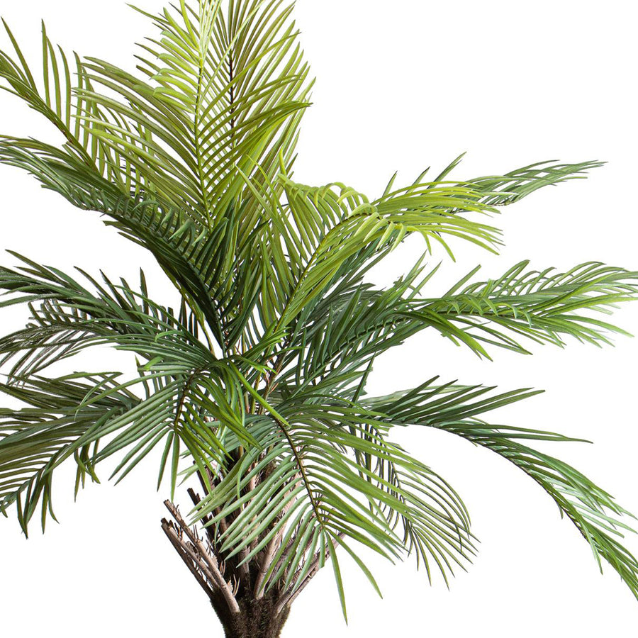 Areca mű pálmafa részletezve, realisztikus zöld levelekkel közelről.