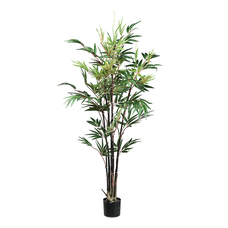 Mű bambusz növény 135 cm-es magasságban, fekete kaspóban, fehér háttér előtt.