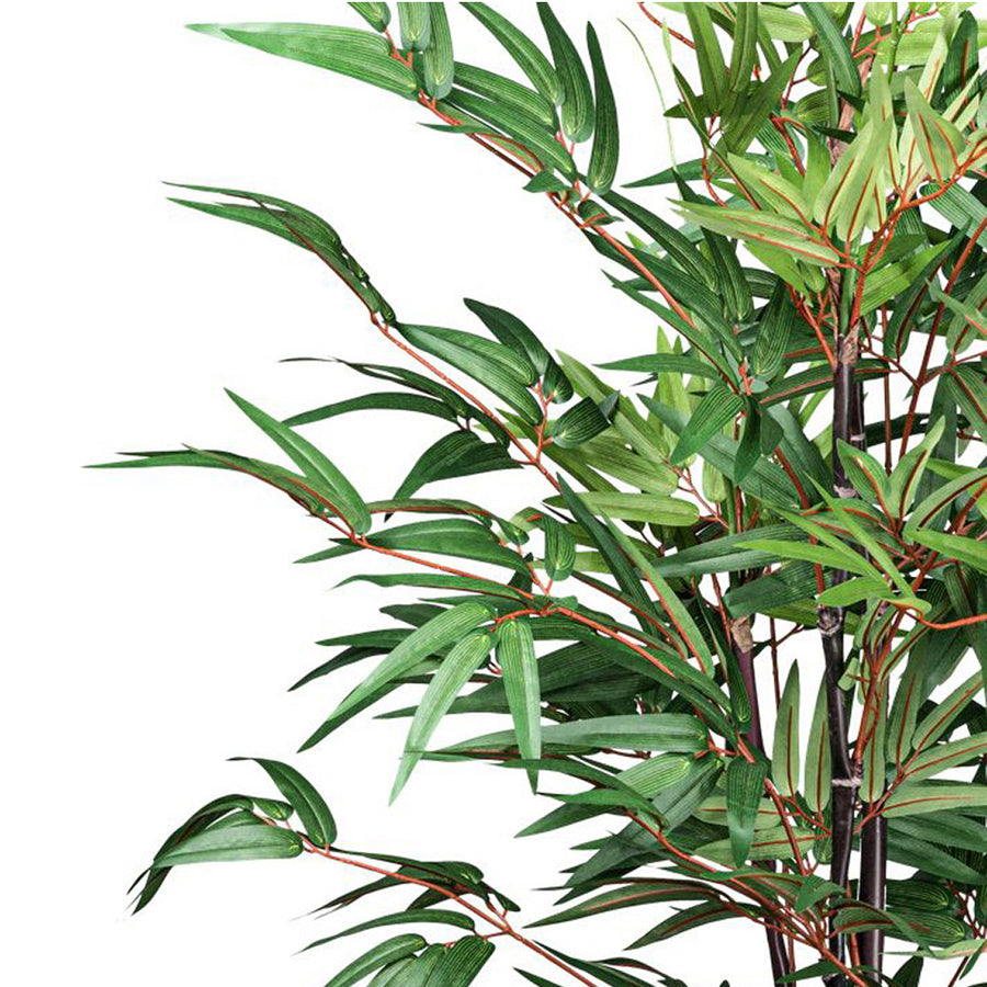 Közelkép a kínai mű bambusz finoman erezett, zöld leveleiről és pirosas levélhajtásairól.