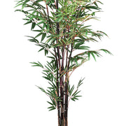 Közelkép a mű bambusz vastag, bordó színű száráról és sűrűn elhelyezkedő leveleiről.