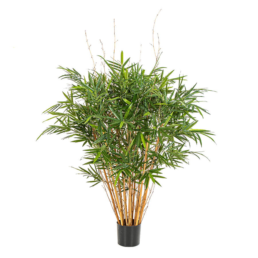 125 cm magas, élethű mű jamaicai bambusz fekete kaspóban, valódi bambusz törzzsel és dús, lándzsa alakú levelekkel.