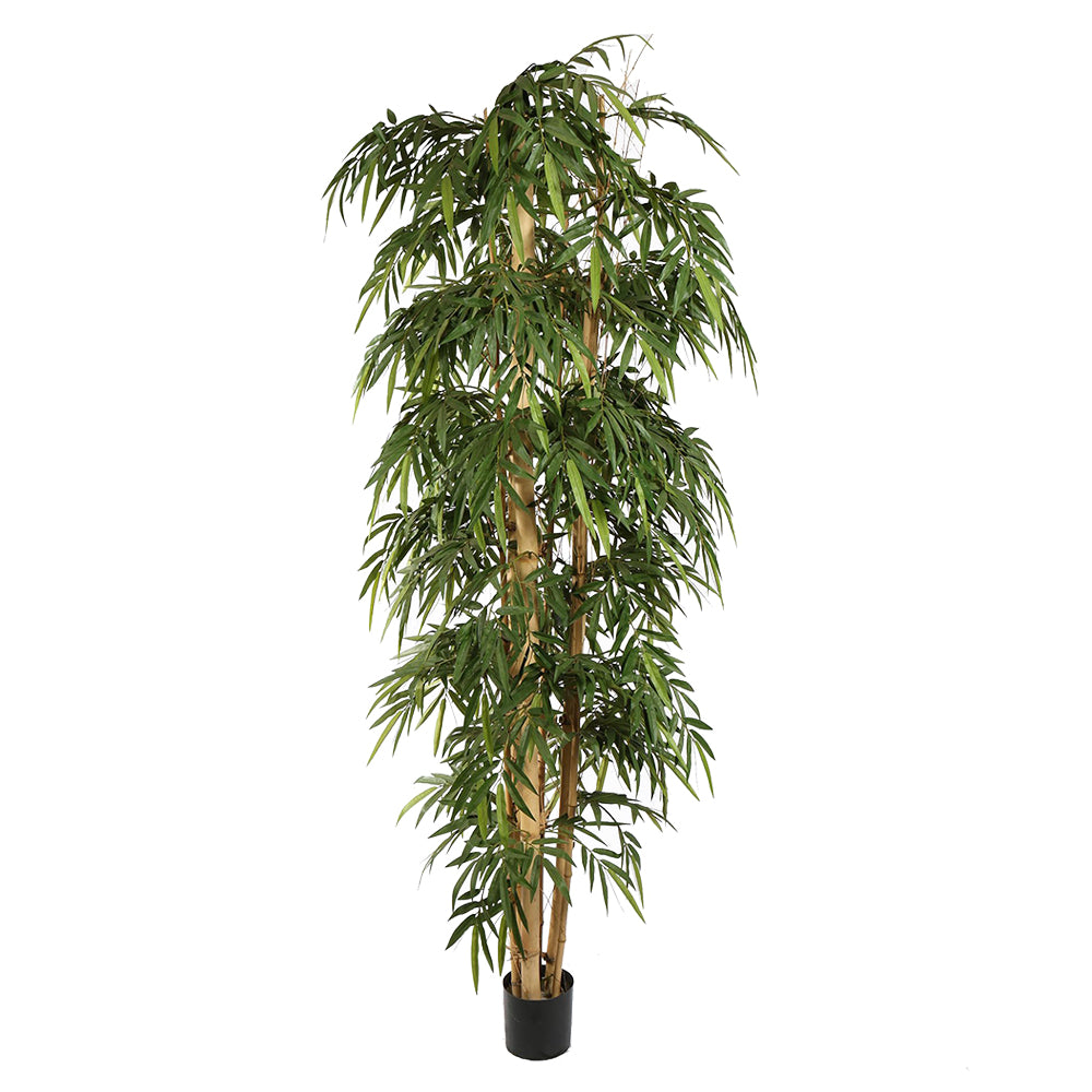 BAMBOO óriás zöld mű bambusz 260 cm-es magasságban, fekete kaspóban