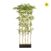 160 cm magas, UV-álló mű bambusz térelválasztó fekete fa kaspóban, valódi bambusz törzzsel és 1620 lándzsa alakú levéllel.