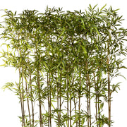 UV-álló, 200 cm magas mű bambusz térelválasztó felső lombkoronája, valódi bambusz törzzsel és sűrű, lándzsa alakú levelekkel.