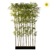 200 cm magas, UV-álló mű bambusz térelválasztó fekete fa kaspóban, valódi bambusz törzzsel és 4320 lándzsa alakú levéllel.