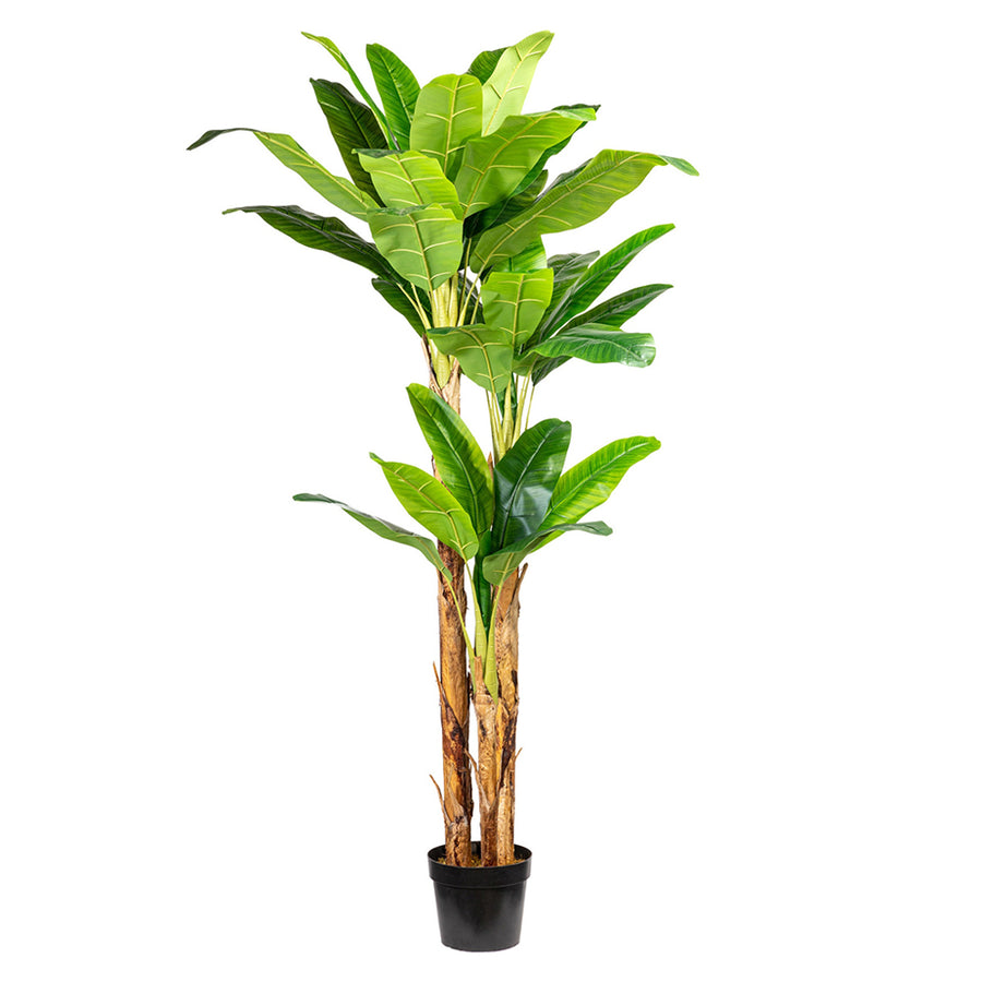 Óriás, 240 cm magas, 33 leveles mű banánfa fekete kaspóban, mű talajjal