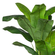 Valódi fa törzsű, részletgazdag mű banánfa levelek közelképe