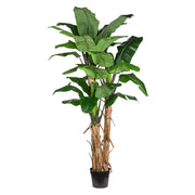 Óriás, 280 cm magas mű banánfa három törzzsel, fekete kaspóban