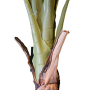 Valódi fa törzsű, részletgazdag mű banánfa leveleinek közelképe