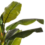 A mű banánfa leveleinek textúráját bemutató makrófotó, élethű erezett mintázattal.