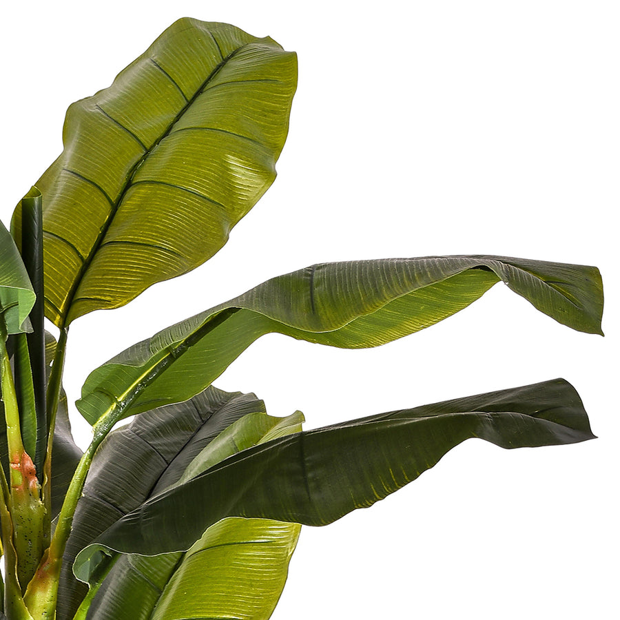 A mű banánfa leveleinek textúráját bemutató makrófotó, élethű erezett mintázattal.