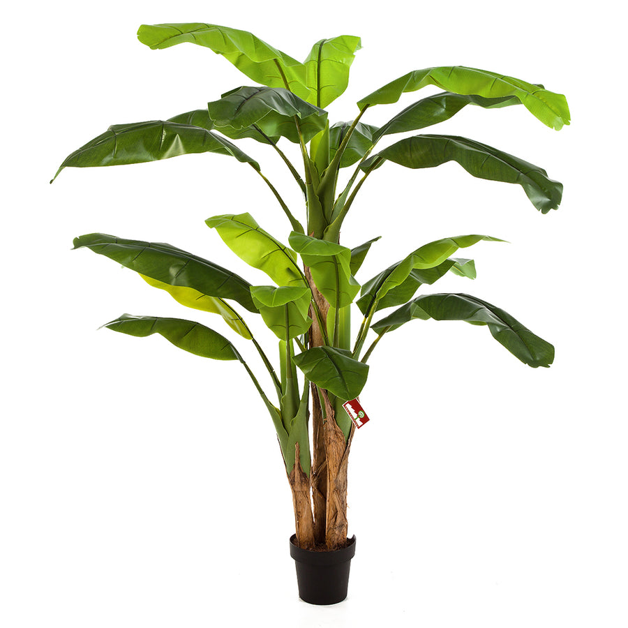 180 cm magas, 20 leveles mű banánfa három törzzsel, fekete kaspóban