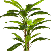 Élethű mű banánfa leveleinek közelképe trópusi hangulattal