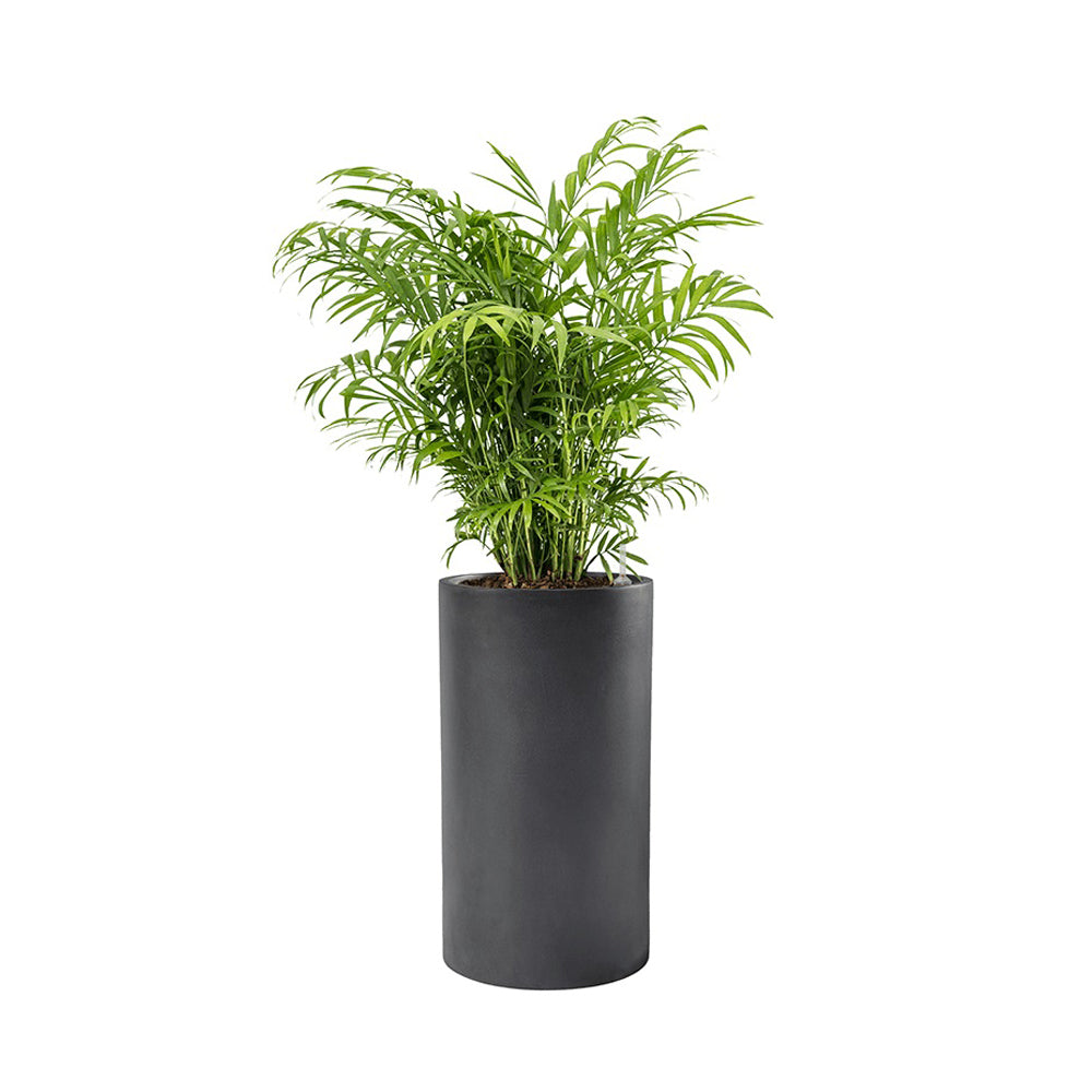 BAQ BASIC CYLINDER DARK GREY kaspó