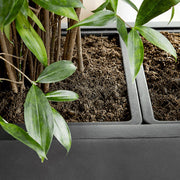 Közelkép a BAQ Basic ültetőláda belső lineréről, friss növényfölddel és növényszárakkal beültetve.