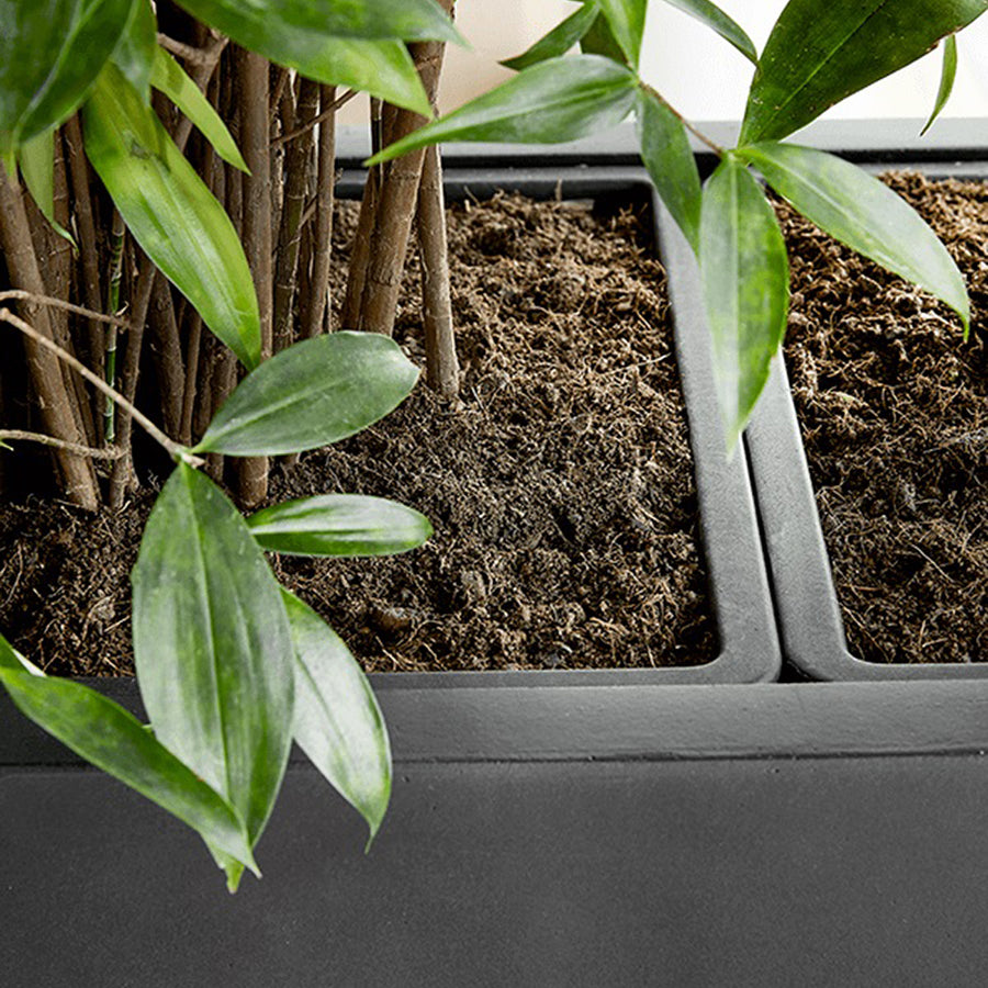 Közelkép a BAQ Basic ültetőláda belső lineréről, friss növényfölddel és növényszárakkal beültetve.