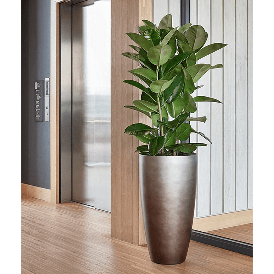 BAQ Gradient Matt Coffee kaspó egy irodai térben, zöld növénnyel beültetve.