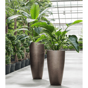 Két különböző magasságú Matt Coffee kaspó növényekkel, üvegházi környezetben.