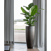 Modern enteriőrben elhelyezett Matt Coffee kaspó nagy levéldísznövénnyel, természetes fényben.