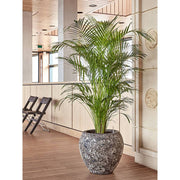 BAQ Lava Balloon rozsdás-fémes kaspó beltéri környezetben, növénnyel beültetve