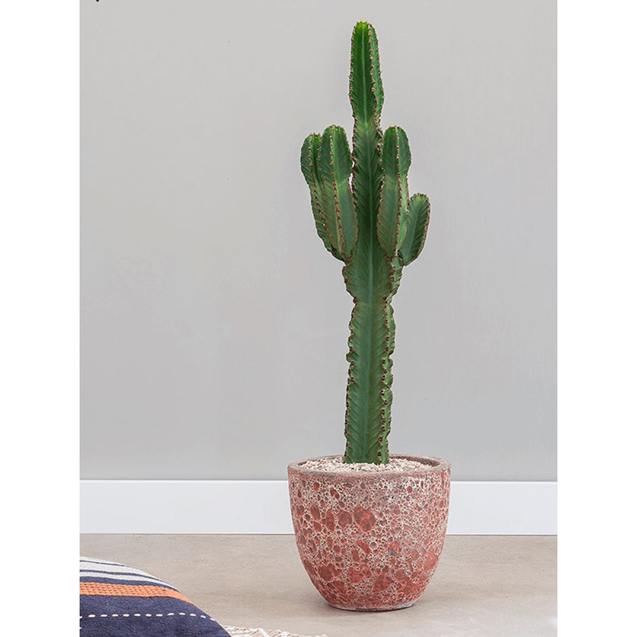 BAQ Lava Couple Pink kaspó kaktusszal – modern enteriőrben