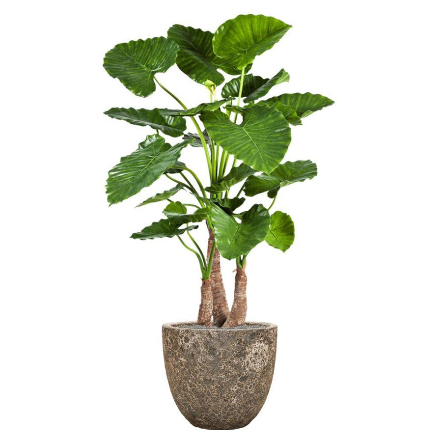 BAQ Lava kaspó zöld trópusi növénnyel – rozsdás fémes kontraszt