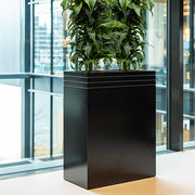 Modern belső térben elhelyezett matt fekete BAQ Line-Up kaspó növényekkel, természetes fényben