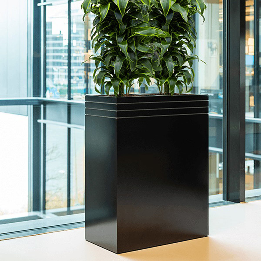 Modern belső térben elhelyezett matt fekete BAQ Line-Up kaspó növényekkel, természetes fényben