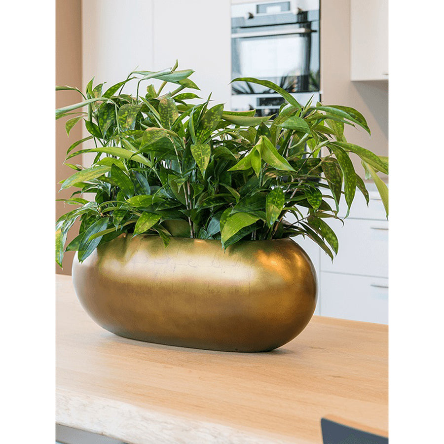 Stílusos belső térben elhelyezett BAQ Metallic Boat HONEY kaspó dús levéldísznövényekkel.