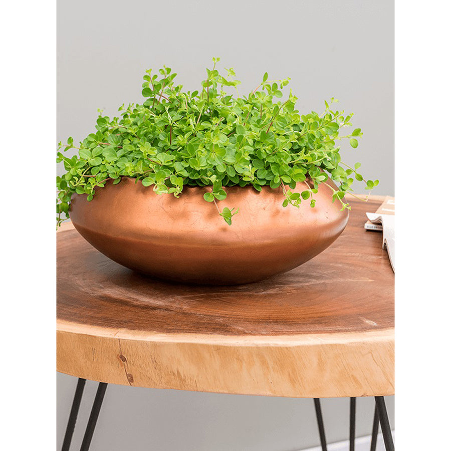 Réz színű BAQ Metallic Bowl UFO kaspó növényekkel berendezve, fa asztalon, skandináv enteriőrben.