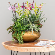 BAQ Metallic Bowl UFO kaspó arany színben, növényekkel beültetve fa asztalon elhelyezve