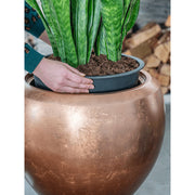 Kaspóba való beültetés folyamata a BAQ Metallic Couple matt réz kaspóban.