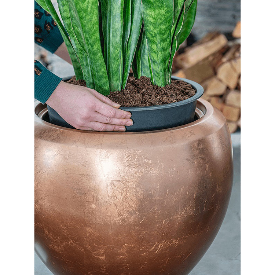 Kaspóba való beültetés folyamata a BAQ Metallic Couple matt réz kaspóban.