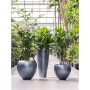 Üvegház környezetben kihelyezett növények a BAQ Metallic kollekció jeges kék kaspóiban.