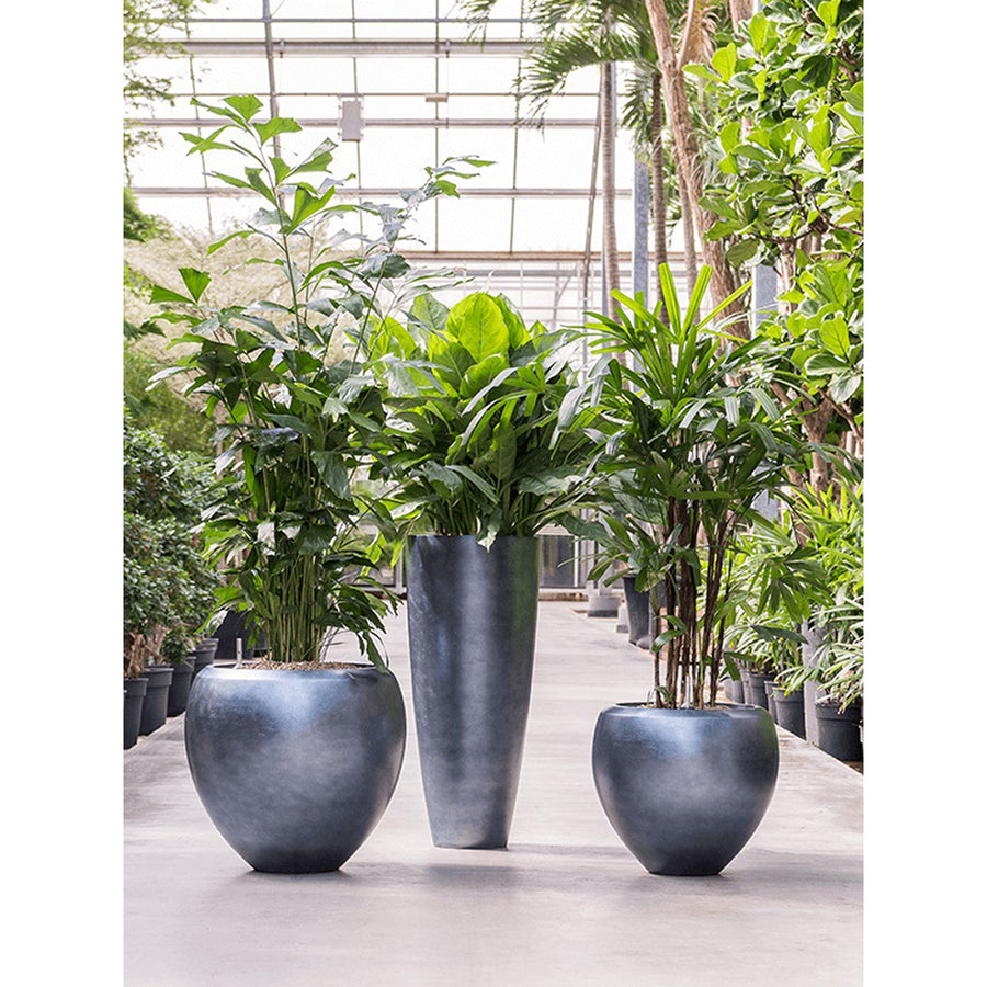 Üvegház környezetben kihelyezett növények a BAQ Metallic kollekció jeges kék kaspóiban.