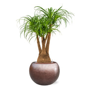 BAQ METALLIC GLOBE MATT COFFEE kaspó