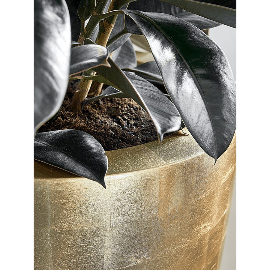 BAQ GLOSSY GOLD kaspó pereme közelről, növénnyel beültetve